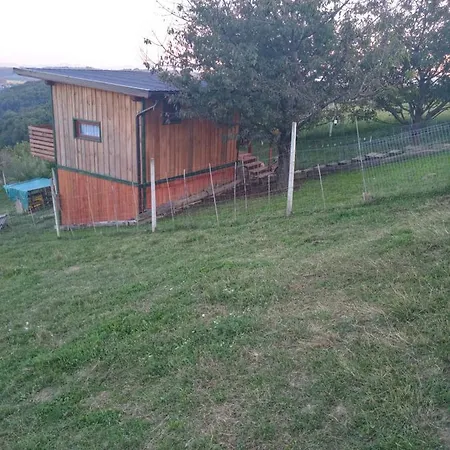 Nebesa So Tudi Na Zemlji *